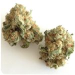 Шишки "White Widow"  (Белая вдова)  Гидропоника -  Бошка VHQ в Можге