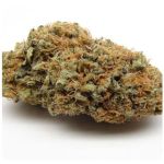 Шишки AK47  (Гидропоника, Бошка) VHQ в Можге